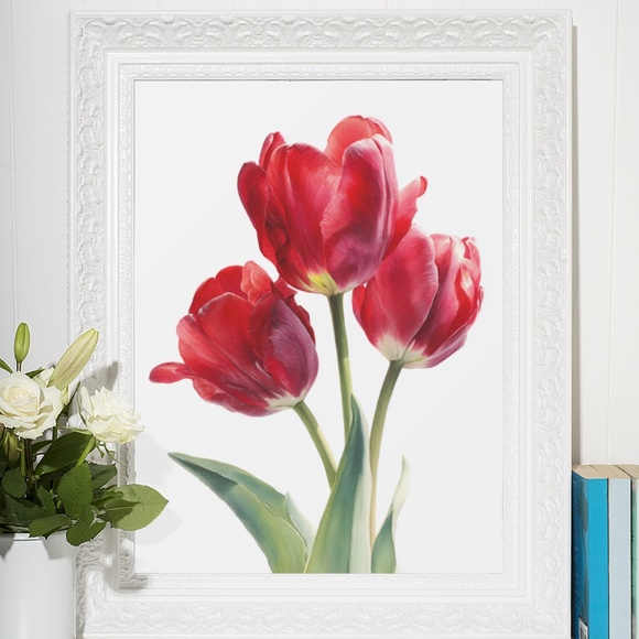 Watercolor Red Tulips Wall Art Illustration Print Poster Unframed - Picture 5 of 6